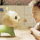 Illustration for article titled CJ7